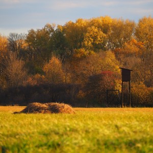 Jesenná lúka v chránenej oblasti poblíž rieky Morava na záhorí